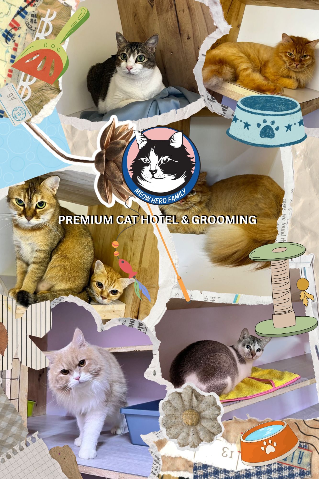 orenda best cat grooming centre